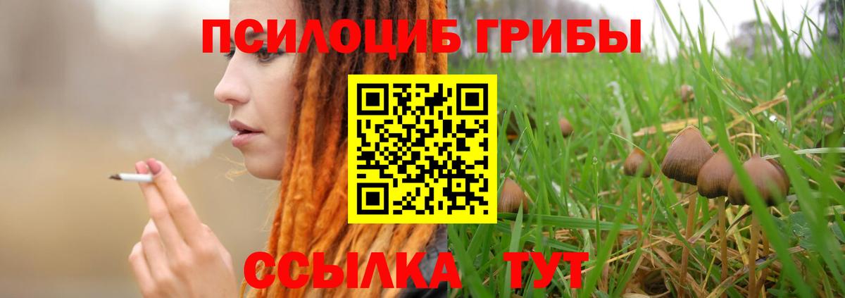 Псилоцибиновые грибы мухоморы  Вход с VPN  Россошь 
